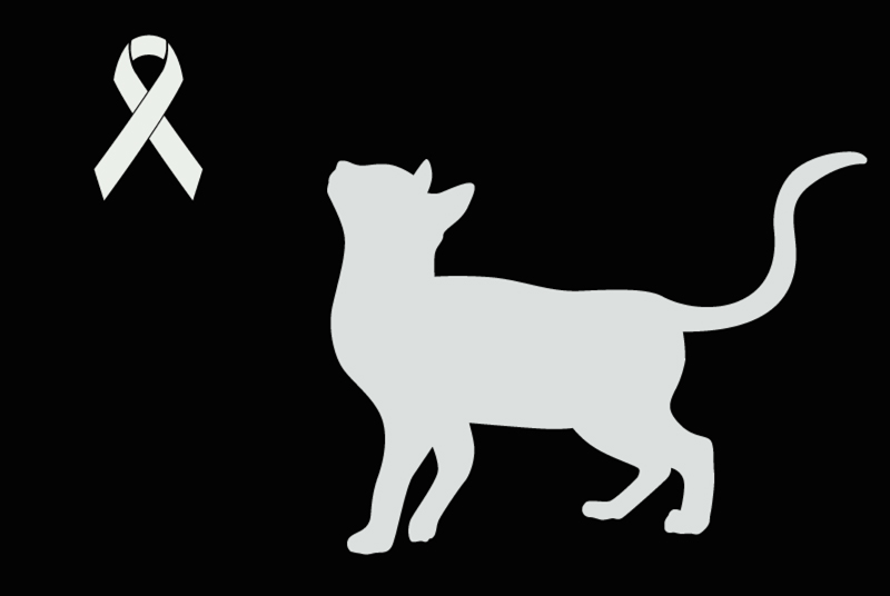 Discovery alert Cat  Unknown Escosse France